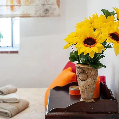 Girasoles Apartment