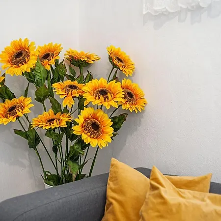 Girasoles Vejer de la Frontera