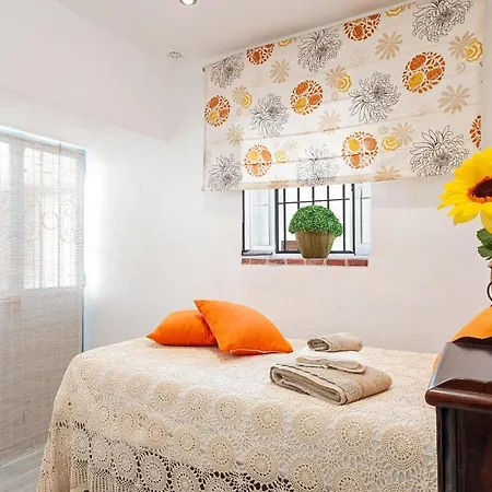 Girasoles